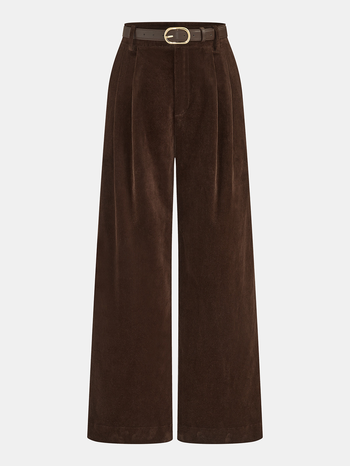 Pantalon velours côtelé plissé ceinture brun foncé, pièce seule, vue de face
