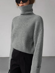 Pull côtelé col roulé