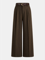 Pantalon ample à pinces ceinturé brun, pièce seule, vue de face