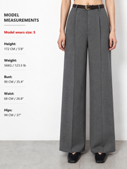 Pantalon ample à pinces ceinturé gris, vue portée de face