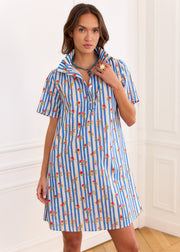 Robe rayée bleue fleurie