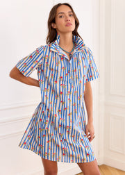 Robe rayée bleue fleurie
