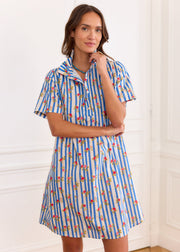 Robe rayée bleue fleurie