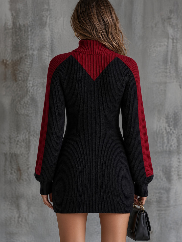 Robe-pull col roulé contrasté — vue de dos