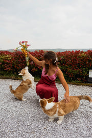 Robe longue en soie décolletée portée par une femme, assise, chiens, bouquet