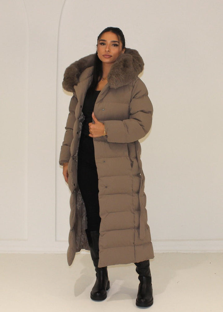 Taupe