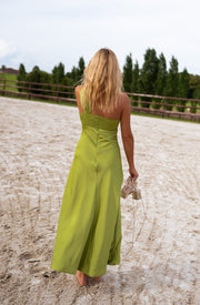 Robe longue à fermeture éclair portée par une femme, vue de dos, clôture, arbres